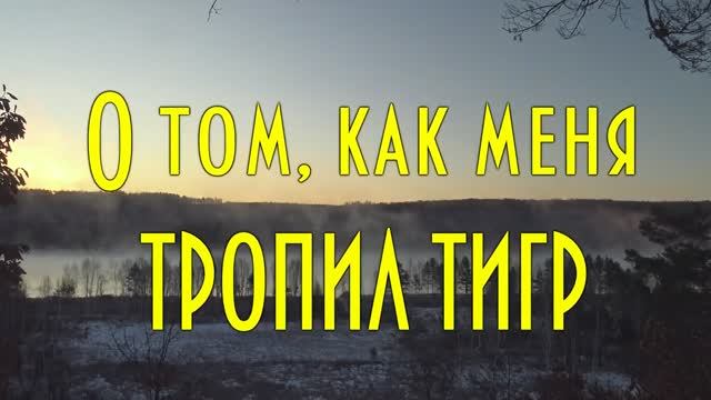 🐅 О том, как   ТИГР тропил меня на учетах животных зимой (на ЗМУ).